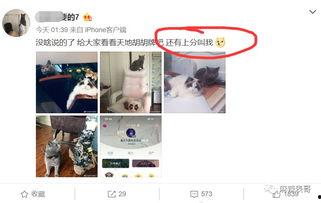 网红圈吃瓜 视频观看网站  第2张