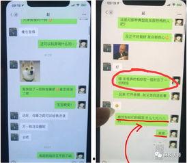 网红圈吃瓜 视频观看网站  第3张
