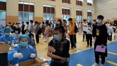 宁阳碧桂园爆料最新消息,揭秘项目进展与未来规划  第2张