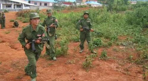 爆料缅甸果敢视频,视频揭露战火无情  第2张